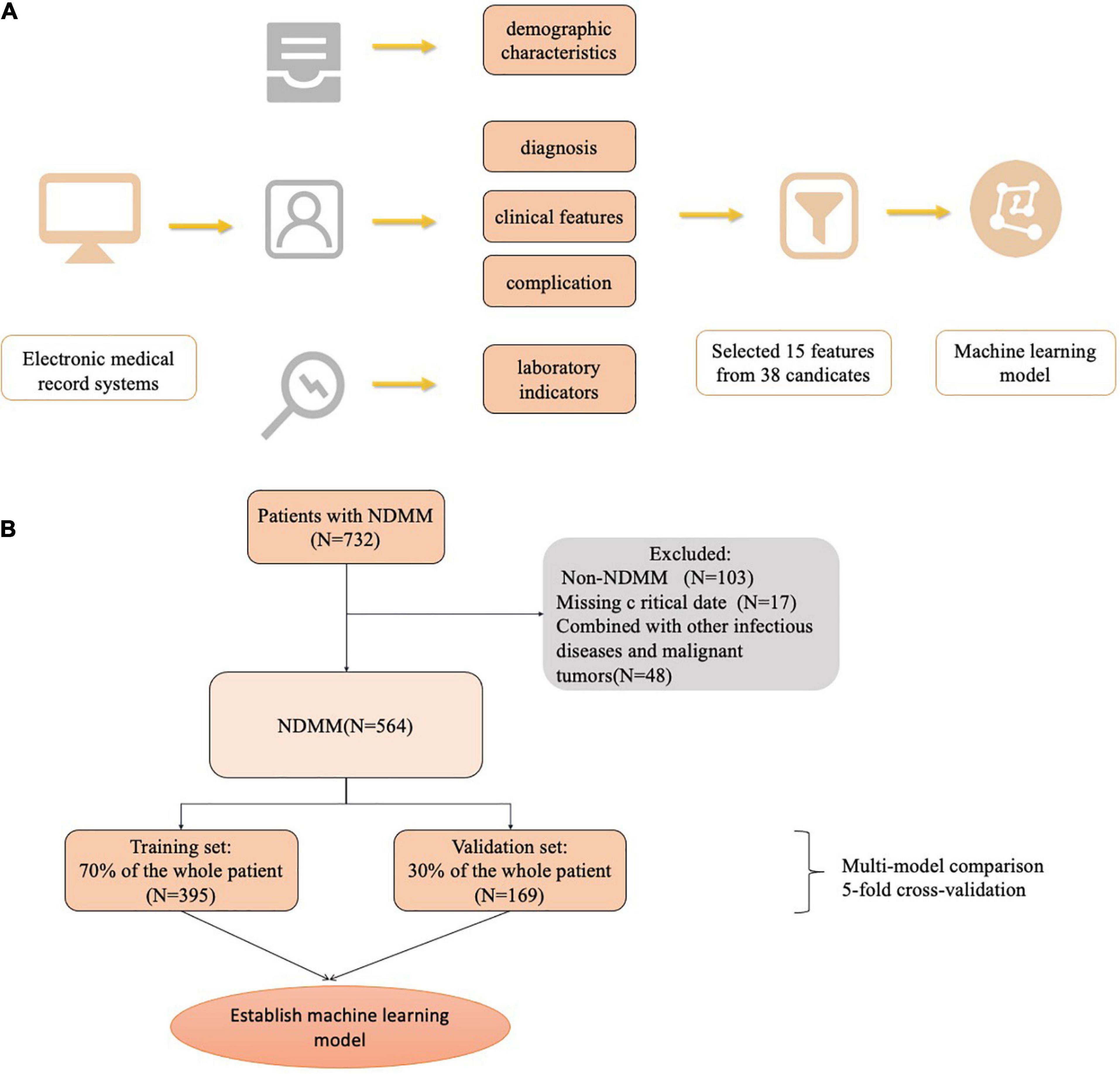 Machine learning-based infection prediction model for newly diagnosed multiple myeloma patients